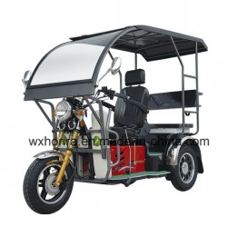 Handicapped Adult Tr