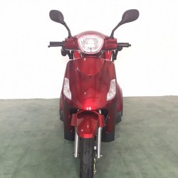 500W Adult Disabled Electric Mobility Scooter for Old People (TC-020)
