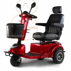 3 Wheel 950W Scooter