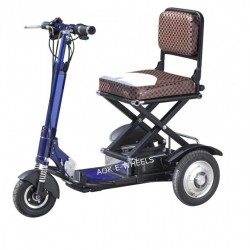 2016 Newest 350W Brushless Motor Electric Scooter (MS-013)