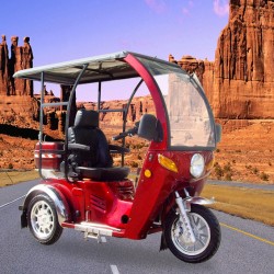 3 Wheel Scooter for Handicapped