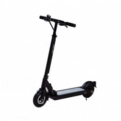 Green Pedel Folded 2wheels Electric Kick Scooter 24V System