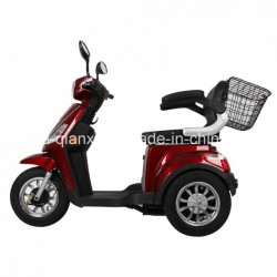 Expertise Electric Tricycle Mobility Scooter
