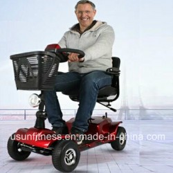 2018 New Design Four Wheel Disabled Mobility Scooter with Ce
