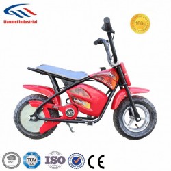 Hot Selling 24V Acid Battery Electric Scooter