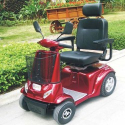 Electric 24V 3 Wheel Mobility Scooter (DL24800-3) with Ce Approved