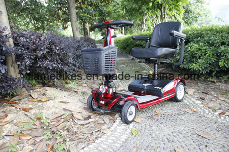 Electric Scooter Handicapped Mobility Scooter Image1