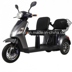 Three Wheel Electric Scooter with Two Seat