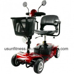 High Quality Cheap Mobility Scooter Electric Vehicle Bike for Adult