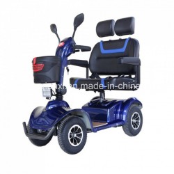 Two Persons Three Wheel Electric Scooter for Sale