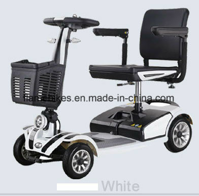 250W Zappy Scooter with 24V 20ah Battery Image1