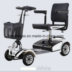 250W Zappy Scooter with 24V 20ah Battery