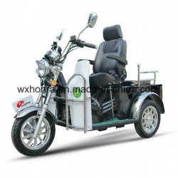 110cc Handicapped Tr