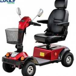 Ce Strong Power 24V 800W Electric Mobility Scooter for Handicapped Dm501