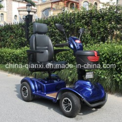 Eco Electric Mobilit