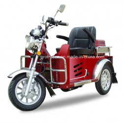 70/110cc Handicapped Tricycle/Three Wheel Motorcycle (DTR-2)