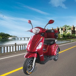 Hot Selling Special Mobility Electric Tricycle 24V 28ah 400W with Dynamic Controller