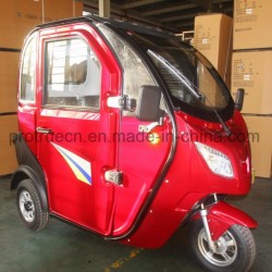 800W New Electric Rickshaw with Closed Body