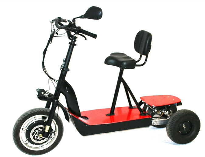 Three Wheel Electric Two Motors Bike 500W 1000W 1500W with Two Motors Image1