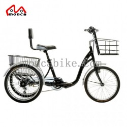2018 New Design Low Noise Electric Tricycle E-Bike City E-Bicycle Three Wheels Fashion E Scooter