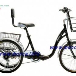 Best Quality Low Noise Electric Tricycle E-Bicycle Bike City E-Tricycle Family Scooter Taking Cargo