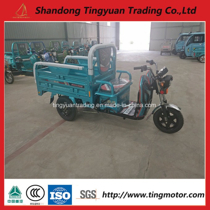 China New 48V/60V Electric Tricycle for Sale Image1