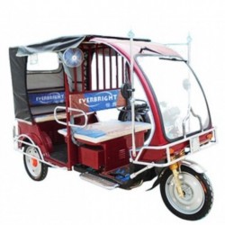 Good Selliing 60V 1000W Electric Rickshaw in Bangladesh