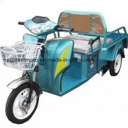 Factory Sales High Quality Electric Cargo