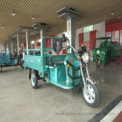 Three Wheel Powerful Electric Cargo Trike with Cabin