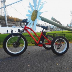 Hot Model Fat Tire Electric Tricycle