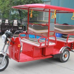 The Factory Indian Electric Tricycle for Passenger
