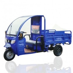 Farm Cart Trailer 3 Wheel Electric Truck 3-Wheel Cargo Tricycle