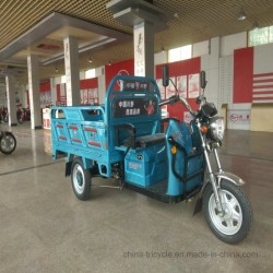 Adult 3 Wheel Electric Trike Cargo Tricycle for Farm Transfer