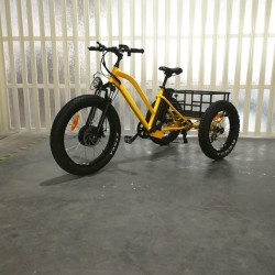 China Manufacturer Long Range Fat Tire Electric Trike