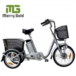 2017 Hot Sale Economic 250W Samll Electric Tricycle for Adults