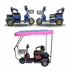 Foldable Seat 3 Wheel Electric Scooter Trike for Elderly Person