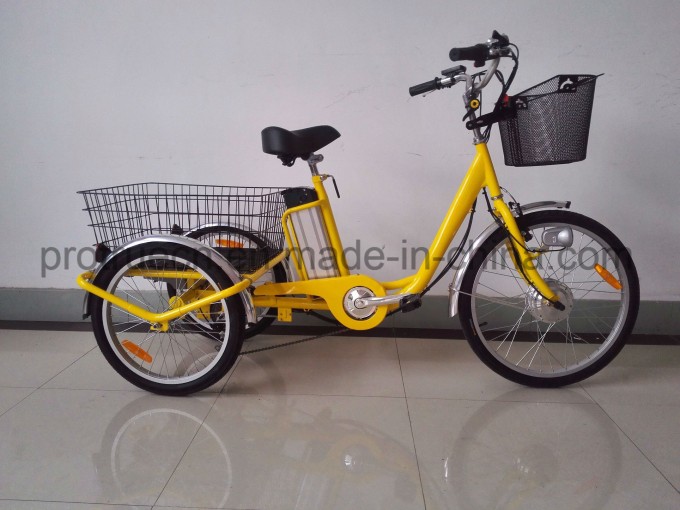 Three Wheel Electric Bicycle with Rear Cargo Image1