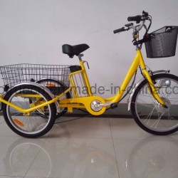 Three Wheel Electric Bicycle with Rear Cargo