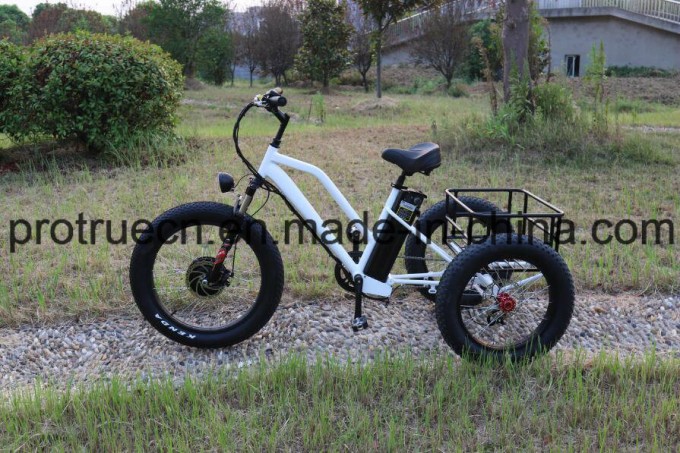 500W Electric Bicycle Tricycle Lithium Battery Strike Image1