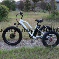 500W Electric Bicycle Tricycle Lithium Battery Strike