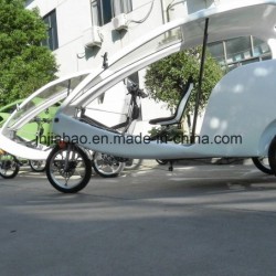 German Design Velo Taxi Electric Pedicab 48V (300K-06)