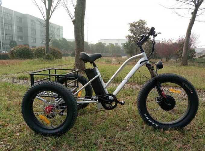 500W Electric Bicycle Tricycle with Cargo Image1