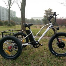 500W Electric Bicycle Tricycle with Cargo