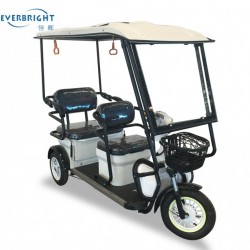 China Sale Three Wheel Electric Scooter Trike for Handicapped