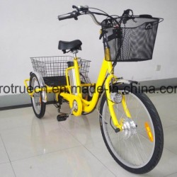 Lithium Battery Electric Cargo Bicycle