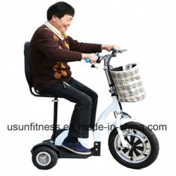 Three Wheels Electric Scooter Ny-Tw201 with Double Seats