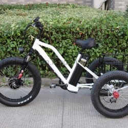 3 Wheel Electric Bicycle Tricycle with Small Cargo