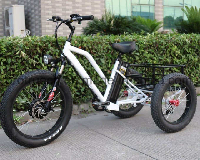 500W 3 Wheel Electric Tricycle Bicycle with Cargo Image1
