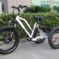 500W 3 Wheel Electric Tricycle Bicycle with Cargo