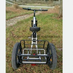 Samsung Lithium Battery Electric Tricycle Bicycle